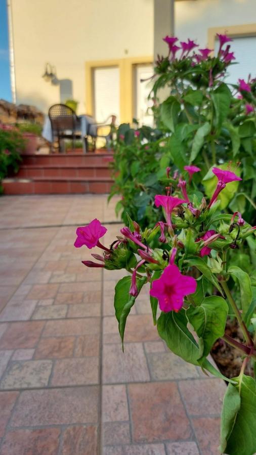 Magnificent View Villa Alexandroupoli Exterior foto
